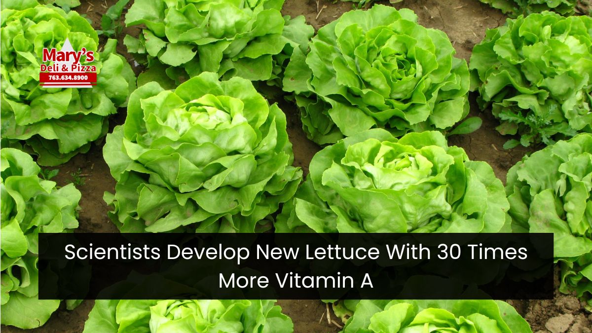 Scientists Develop New Lettuce With 30 Times More Vitamin A